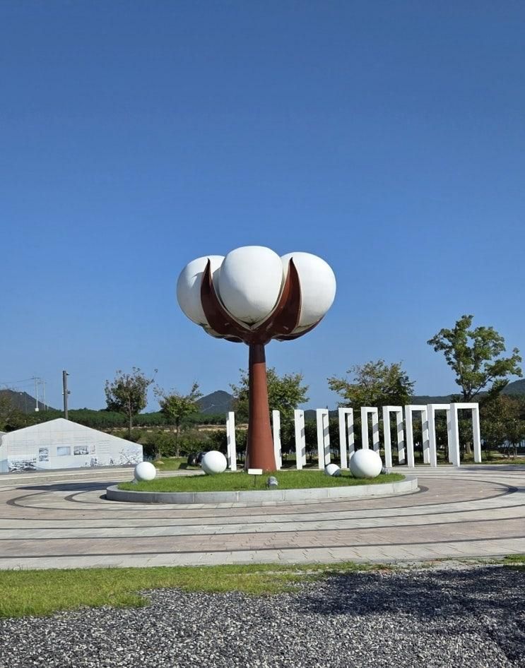 [목포여행] 고하도목화체험장 후기