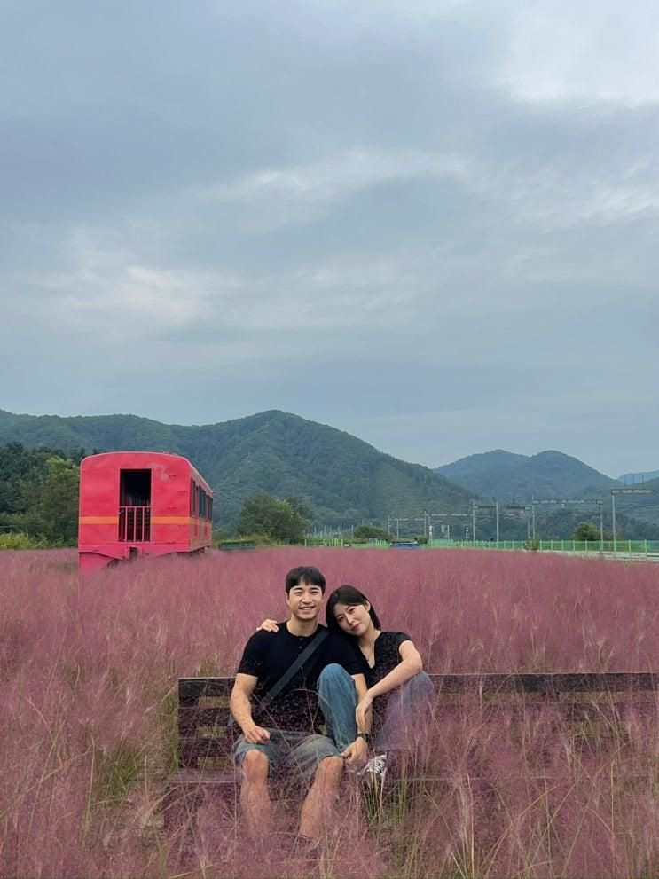 당일치기 행복 춘천여행 | 포토스팟을 찾아서 | 김유정역, 레일바이크(핑크뮬리), 닭갈비, 해피초원목장