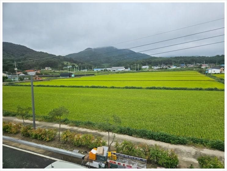엄마의 추억과 아이의 첫 경험이 흙내음으로 만난 2박3일ㅡ부제:대산농촌재단 농촌체험