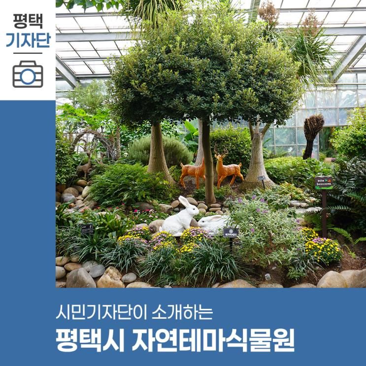 평택시민기자단 | 평택시 자연테마식물원에는 어떤 식물들이 살고 있을까?