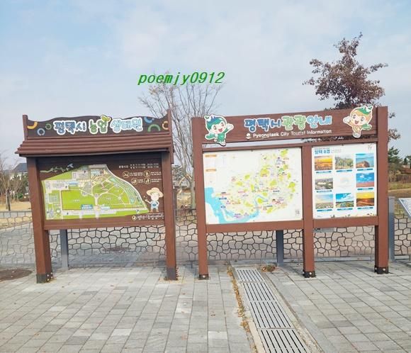 평택시 자연테마식물원 열대식물 크고 희귀한 식물구경