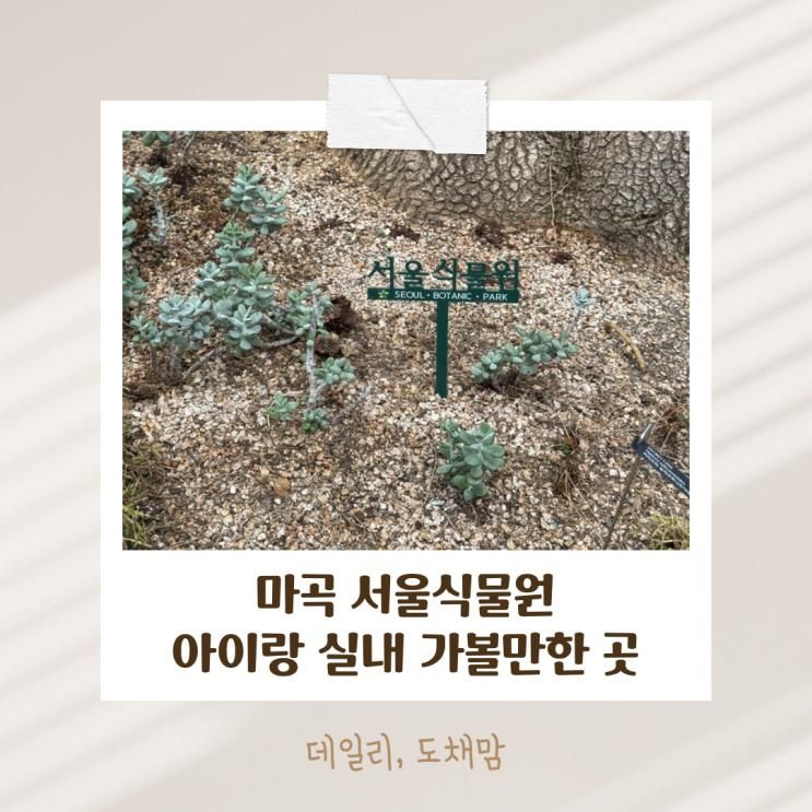 서울식물원 마곡 근교 겨울 실내 아이랑 가볼만한 곳 추천 ! 입장료, 주차, 편의시설 등