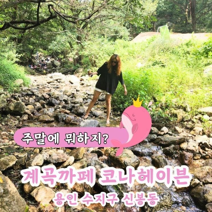 경기근교 용인 계곡까페 코나헤이븐