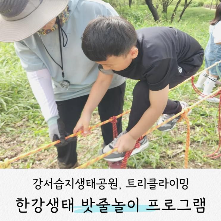 강서습지생태공원 숲체험 & 밧줄놀이 프로그램 후기 (ft. 주차, 예약 방법)
