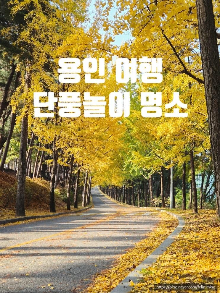 용인 가을여행, 동네 주민들이 찾는 단풍명소