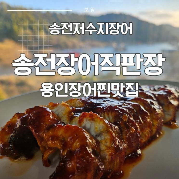이동저수지맛집 송전장어직판장: 가성비 좋은 장어집 발견 후기