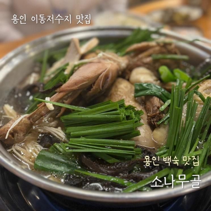 [용인 이동저수지 맛집] 용인백숙 맛집, 소나무골 내돈내산 솔직후기