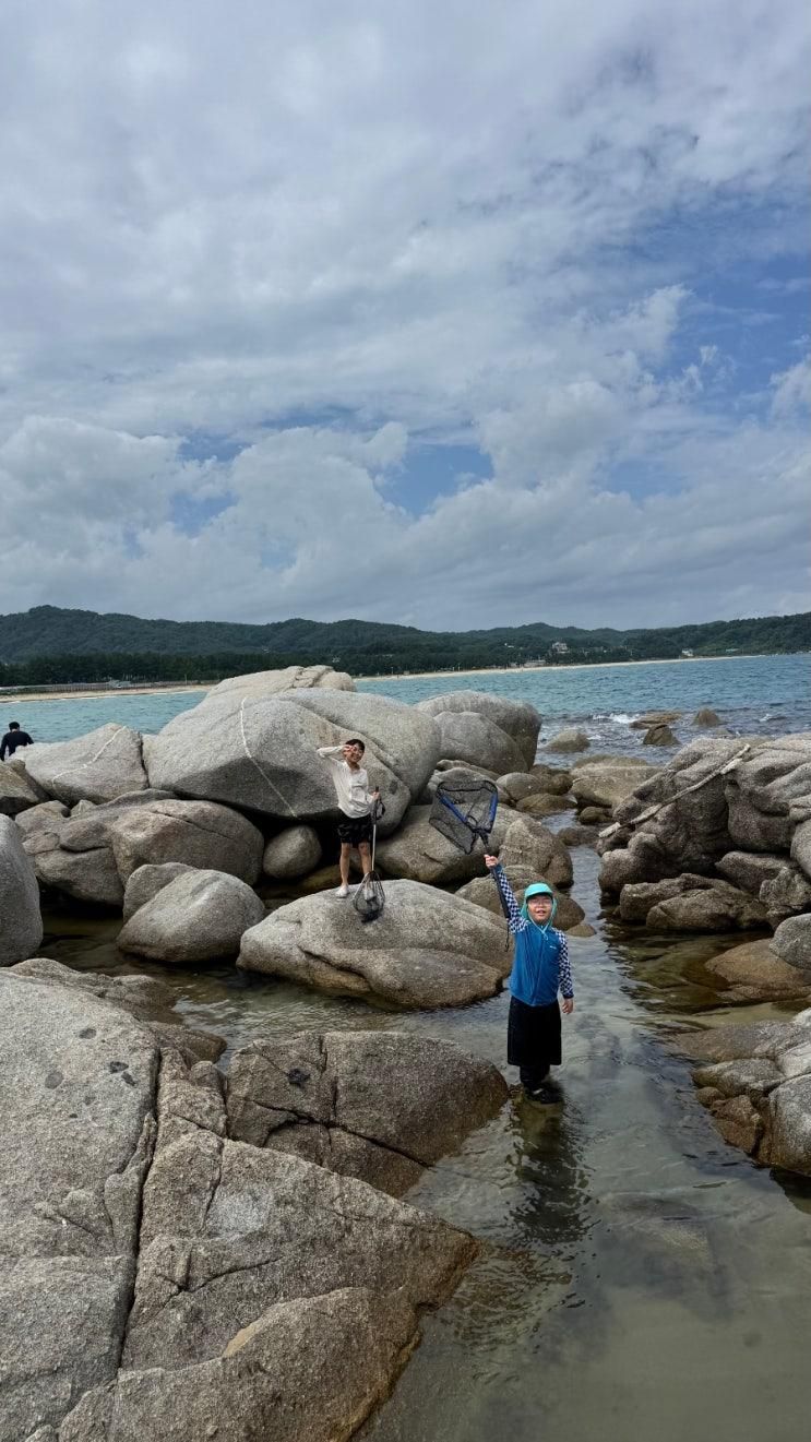 9월 강원도 양양 동산해수욕장 아이들과 조개, 전복, 성게 체험하기 좋은 곳