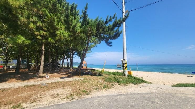 🌊 동산해수욕장 가보다!