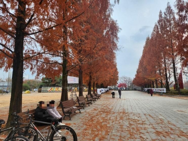 🚲 [일상여행] 호수공원에서 보낸 가족 라이딩 🌿 | 천천히 흐르는 하루