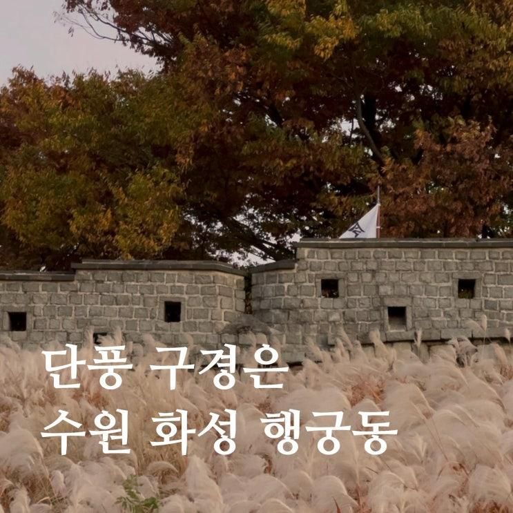 수원 화성 행궁동 완벽 당일치기 나들이 코스 총정리 지도 : 서울 근교 가을 단풍 구경 명소 추천