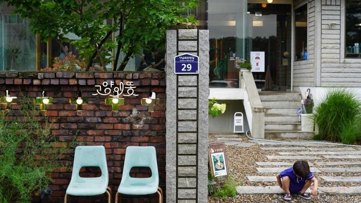 인천 계양 분좋카 추천 아라뱃길 예쁜카페 아이와 즐거운 추억 고양이똥