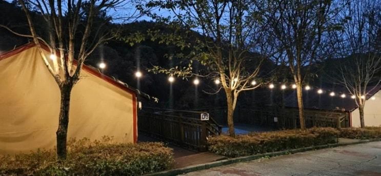 내돈내산 파주글램핑 추천 파주 동화힐링캠프 따뜻한 겨울 글램핑 강추 후기