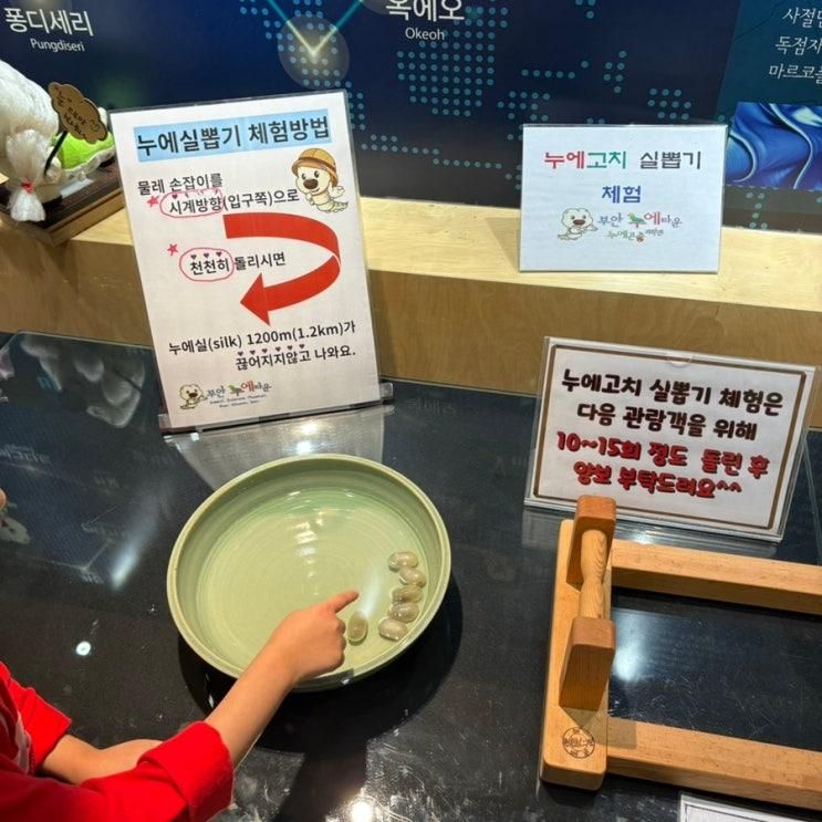 부안 아이들과 가기좋은곳 부안누에타운