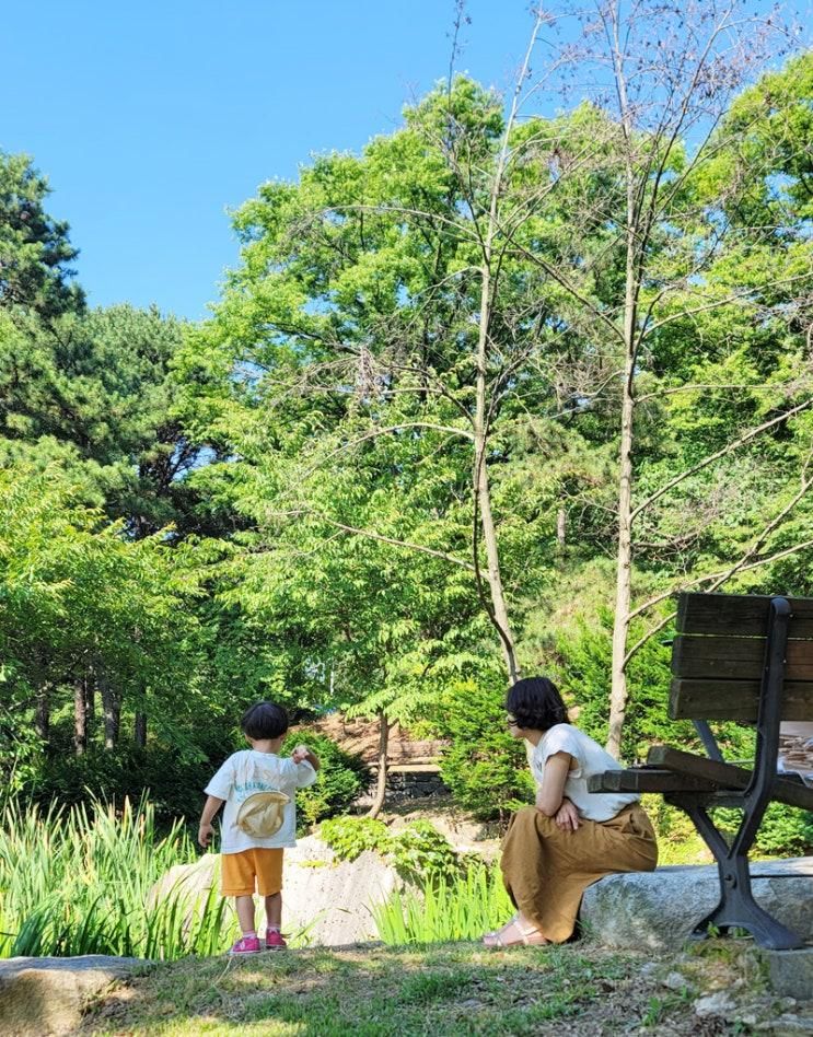 서울대학교 버들골풍산마당 공원 아이와 가족소풍