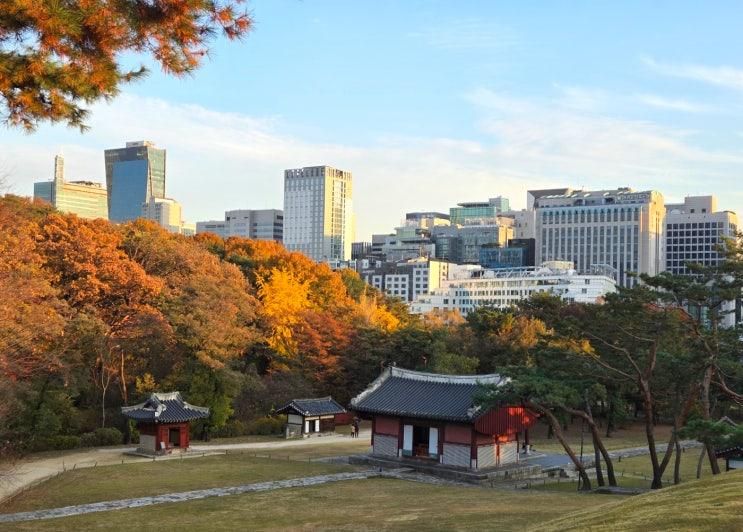 강남 도심 속 왕릉 산책, 선릉·정릉 후기｜아이와 역사 이야기 나누기 좋은 곳