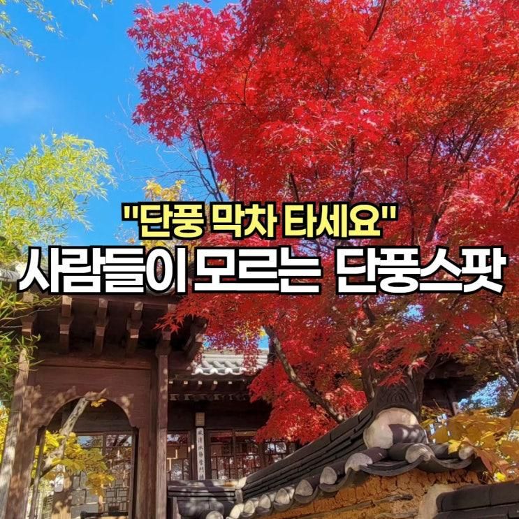 "단풍 막차 타세요“ 사람들이 잘 모르는 단풍 스팟
