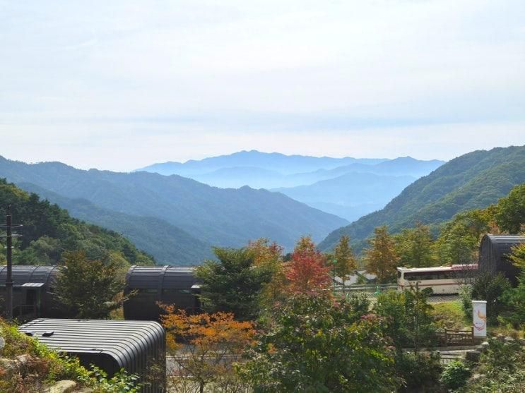 함양 아이와 가볼만한곳 대봉산캠핑랜드 캠핑장 & 놀이시설