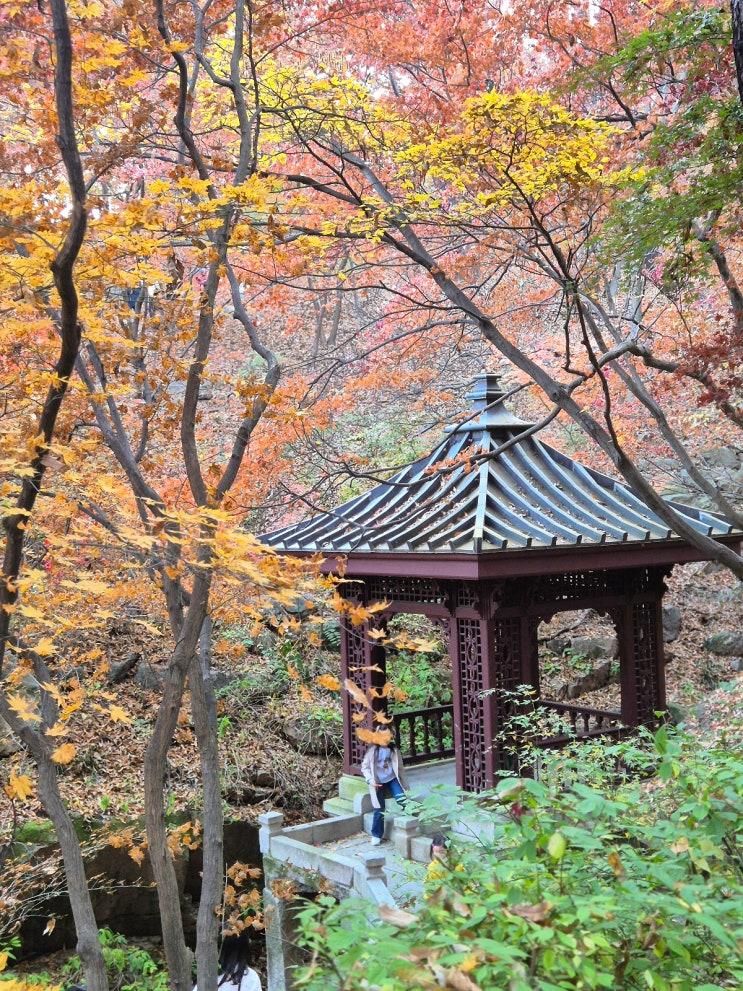 부암동 가볼만한곳 윤동주 문학관, 무계원, 창의문, 석파정 서울미술관 데이트 코스로도 좋아요
