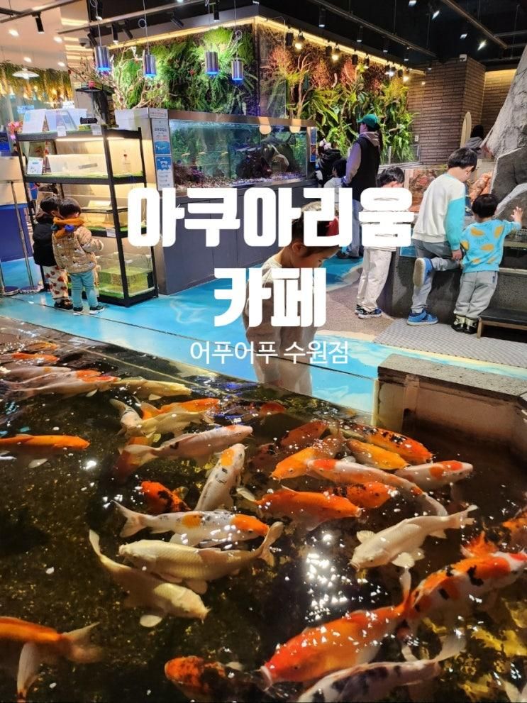 수원 아이랑 실내 가볼만한 곳... 어푸어푸 수원판타지움점]