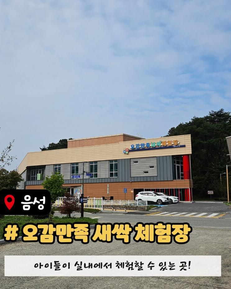 [음성 여행] ‘오감만족 새싹 체험장’ 아이들이 놀이터 🌱