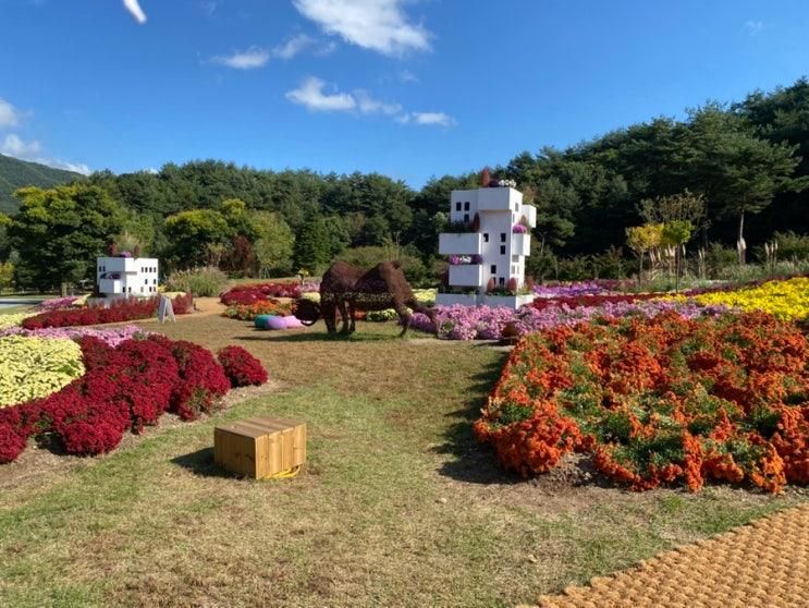 경북 봉화 국립백두대간수목원 가족여행 후기 🌳