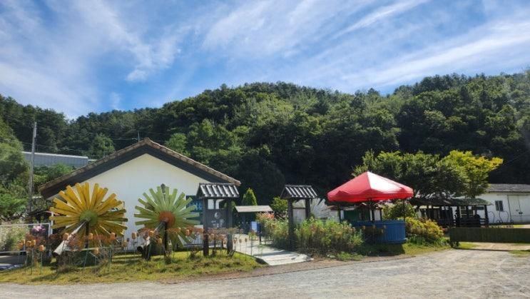 진천 마차박물관체험마을 주말에 당나귀 먹이주기,마차 타러가요