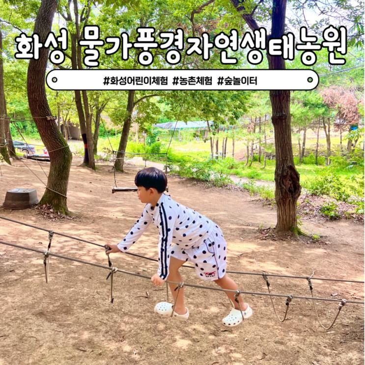 화성 어린이농촌체험 물가풍경 자연생태농원 안산 물놀이 숲놀이터