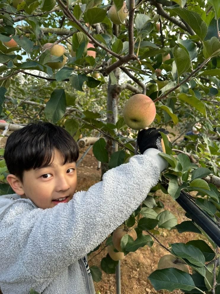[후기] 물가풍경 자연생태농원 가을편 (내돈내산)