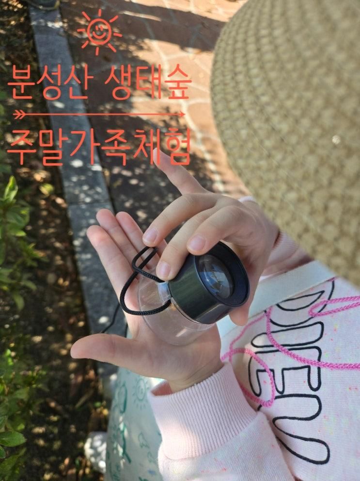 김해 분성산 생태숲 주말가족체험 후기 | 아이와 가을 숲에서 보낸 하루