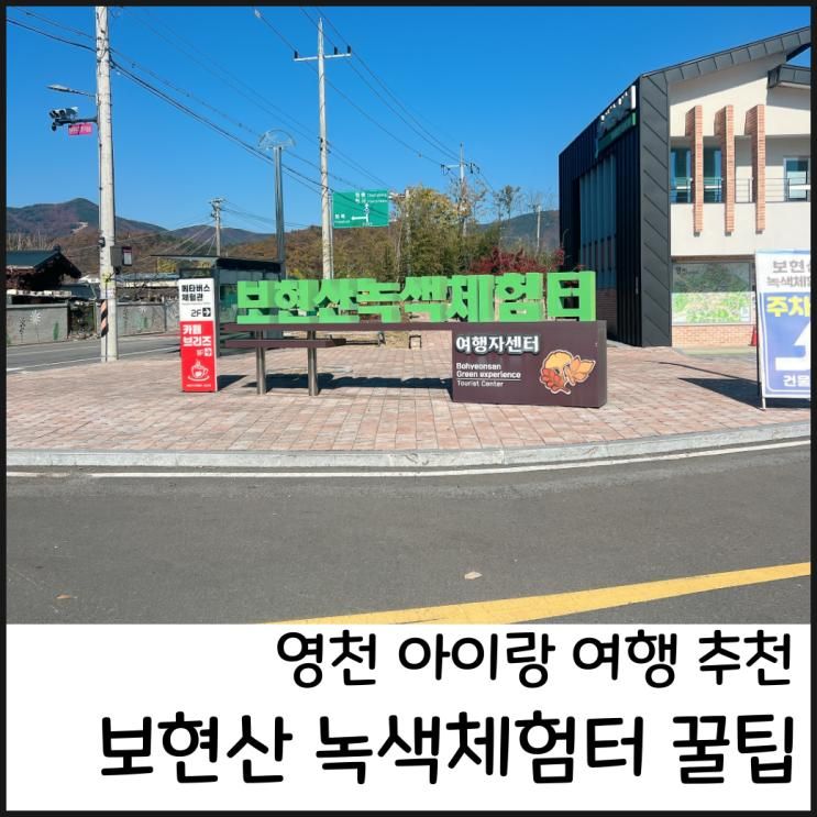 보현산 녹색체험터 영천 아이랑 여행 가볼만한곳 (feat. 숙소)