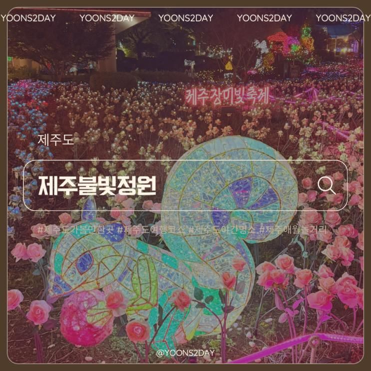 제주도가볼만한곳｜밤에 더 반짝이는 불빛정원