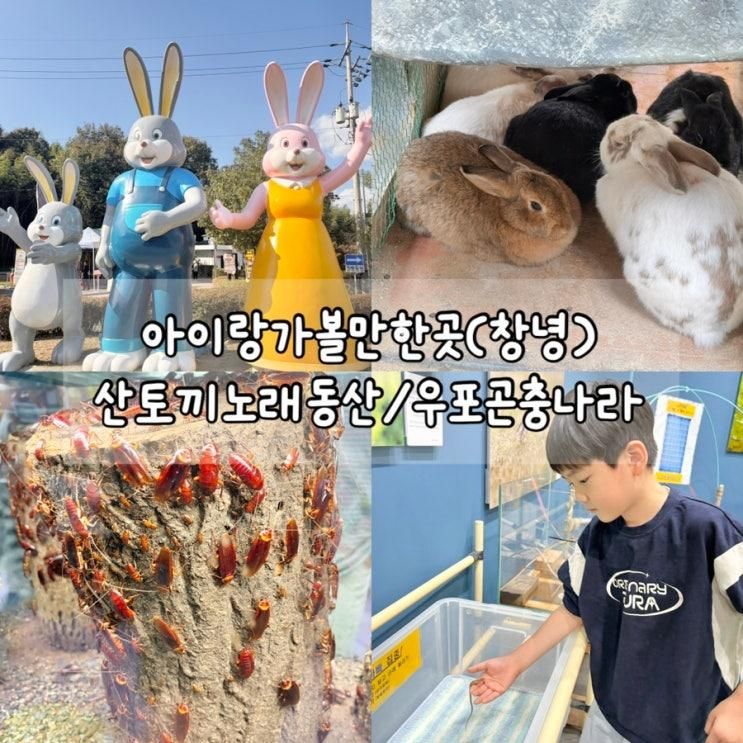 창녕 당일치기 추천 코스: 산토끼노래동산 + 우포곤충나라 알차게 즐기기