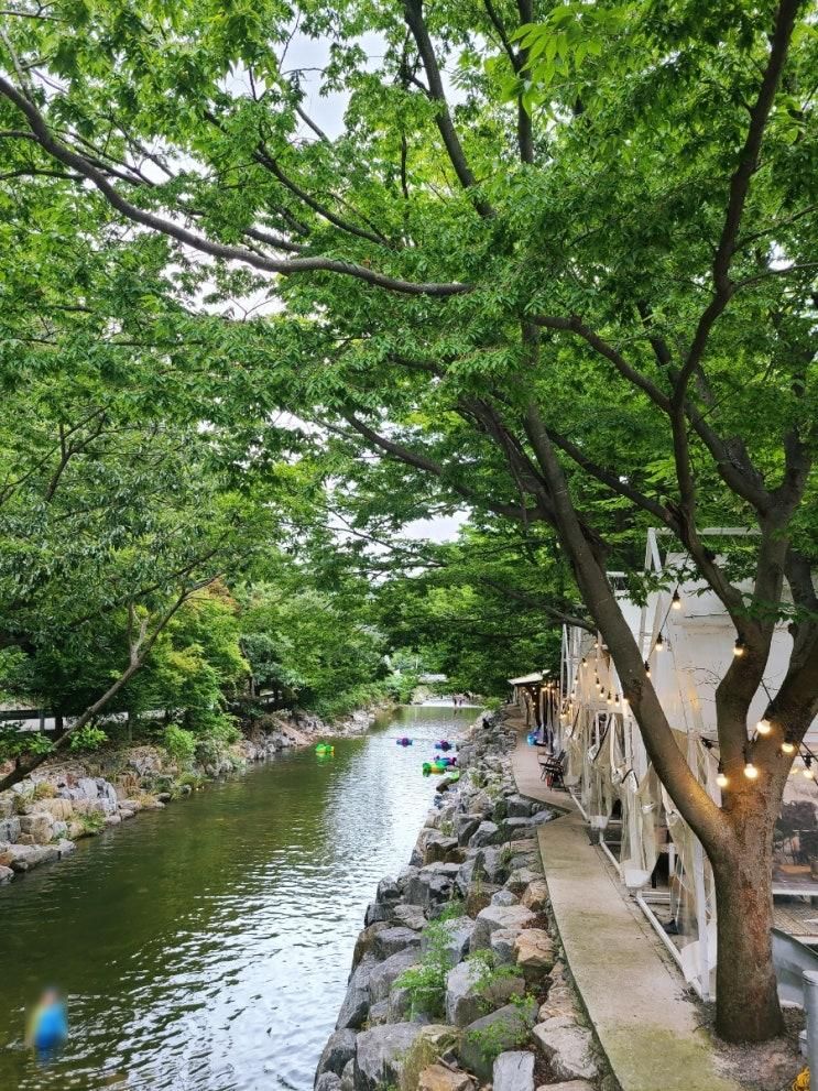 서산 용현계곡 서울가든 물놀이를 할수 캠핑장 분위기 야외바베큐