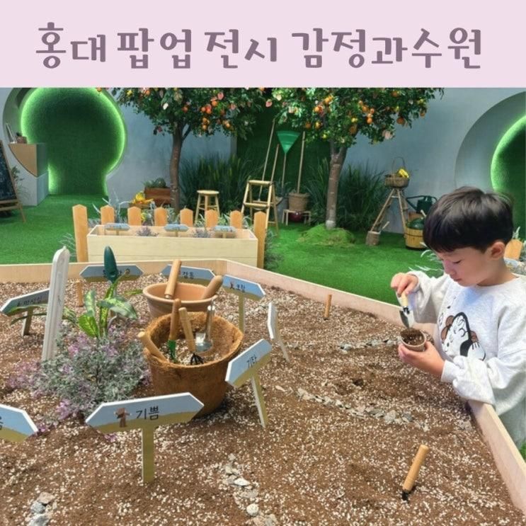 홍대 팝업 전시 감정과수원 티팩토리 아이와 함께