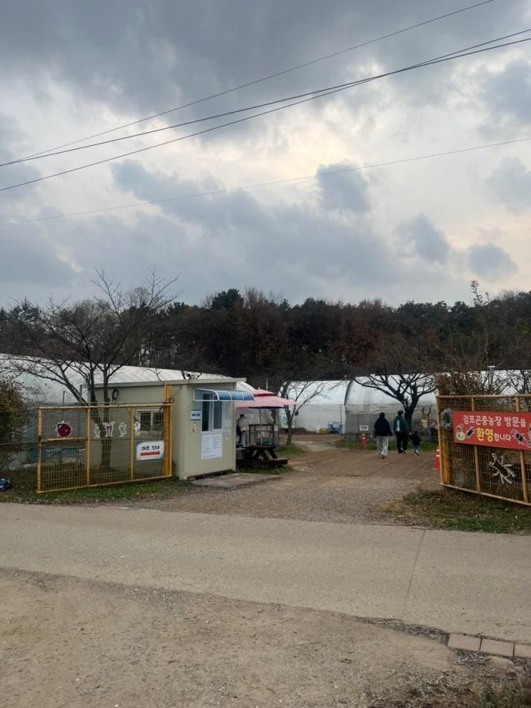 [둘째32주 임산부의 일기] 첫째와 주말 보내기 곤충체험 김포곤충농장 서울근교 아이와 가볼만한 곳 내돈내산