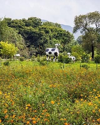 [청주가족이색체험] 다래목장 동물먹이 디저트 계절풍경