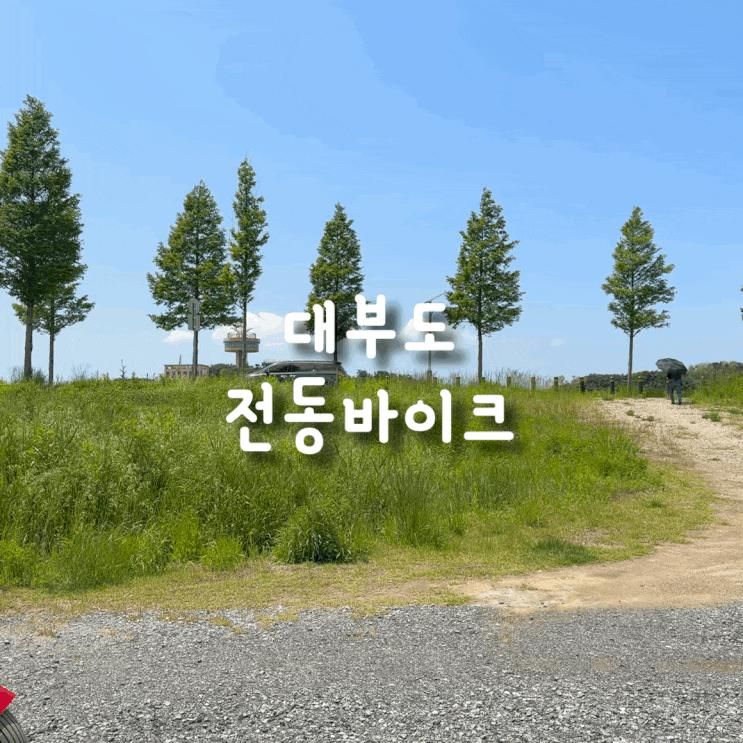 [대부도] 전동바이크 타고 바다향기테마파트 둘러보기 꿀잼