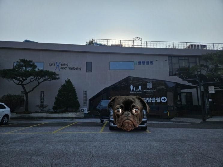 두돌아기랑 양평 미리내힐빙클럽 찜질 족욕체험!