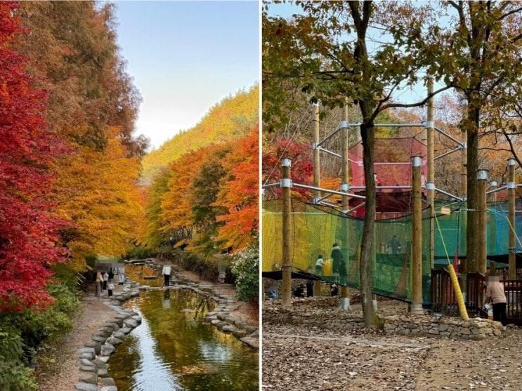 대전 근교 단풍 명소 상소동 산림욕장 아이랑 야외 숲 놀이터
