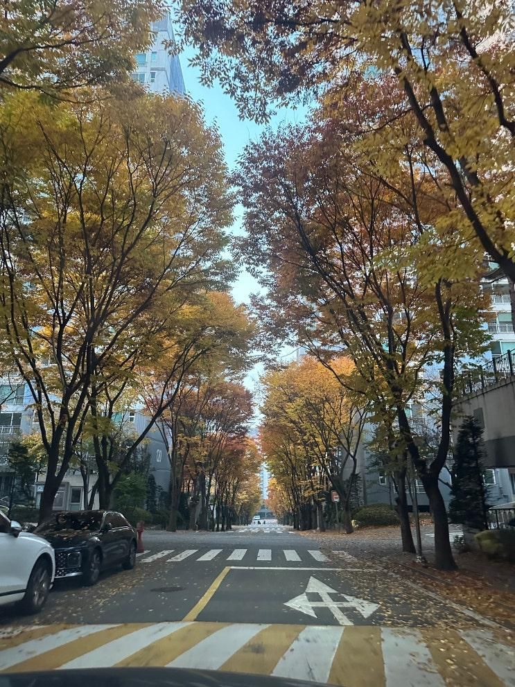 2025년 한성백제마라톤 대회 (가족마라톤 강추)