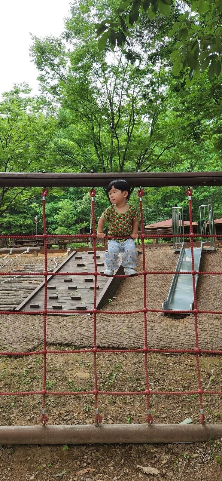 동탄 숲놀이터 |  동탄알콩달콩유아숲체험원 주말 아이랑 놀다오기