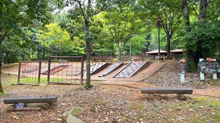 경기도 화성 아이와 가볼만한곳 동탄 알콩달콩 유아숲 체험원