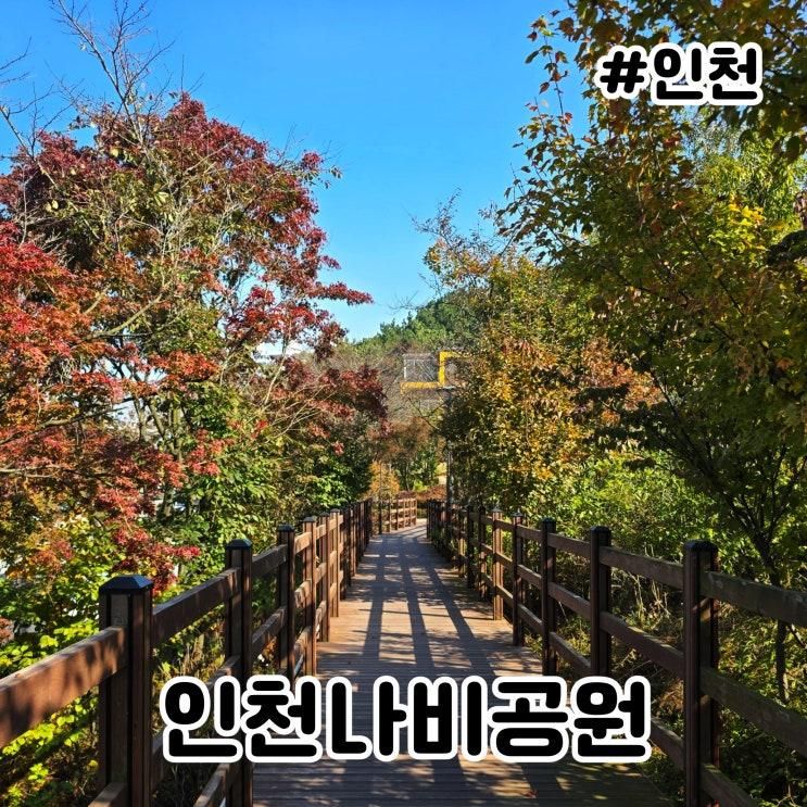 인천 부평 나비공원 아이랑 가볼만한 곳