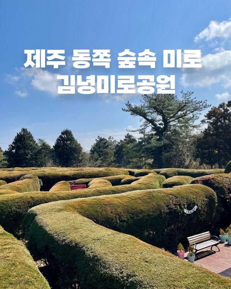 제주 동쪽 여행 가볼만한곳｜김녕미로공원 입장료 · 소요시간 한눈에 정리