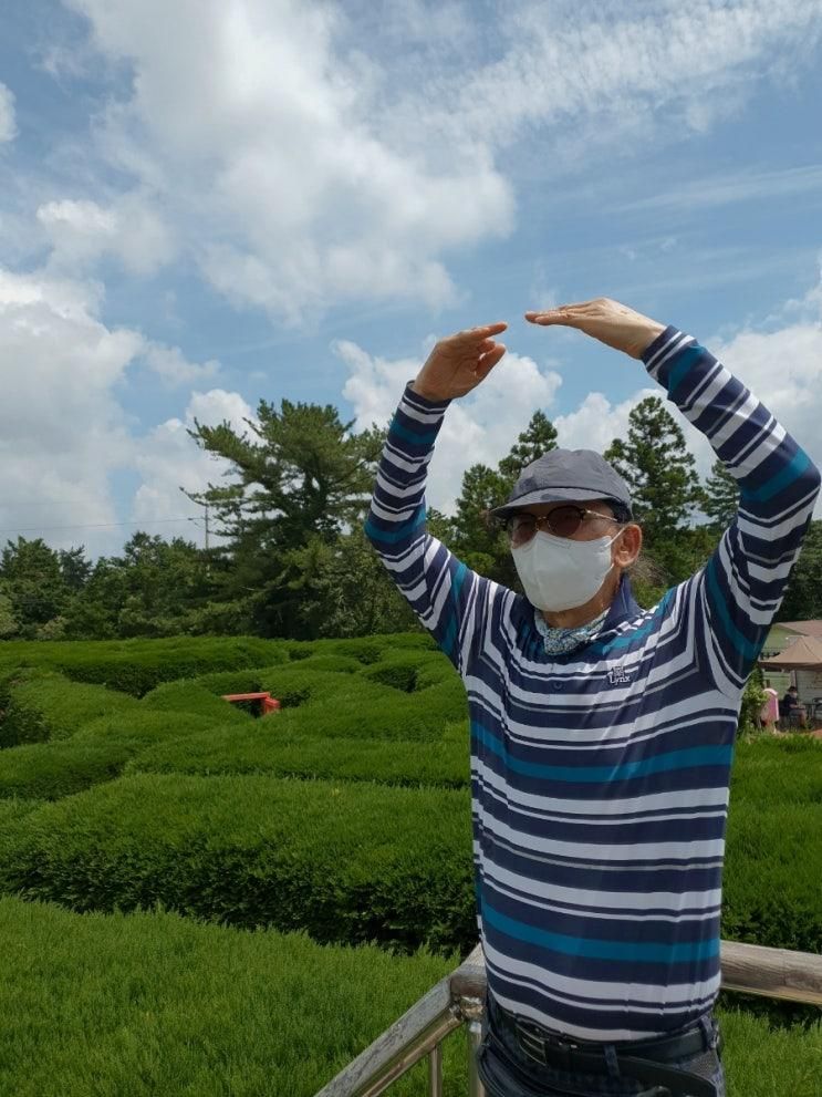 제주도 Go(에코랜드,김녕미로공원)🌈제주동쪽 여행코스