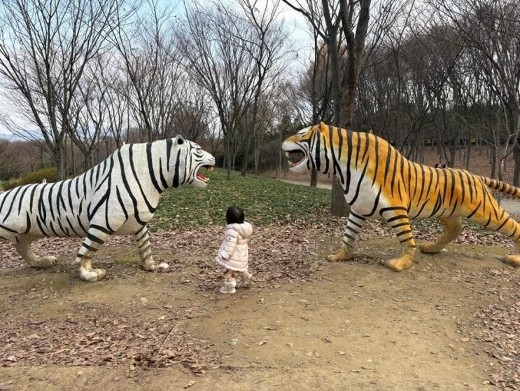 [하남]나무고아원:유아숲체험원 아이와 함께! +주차정보🍂가을 숲놀이