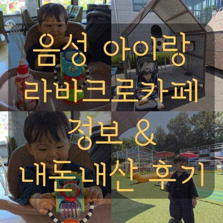 충북 음성 여행 아이랑 가볼만한곳 이색변기카페 라바크로카페 내돈내산 후기