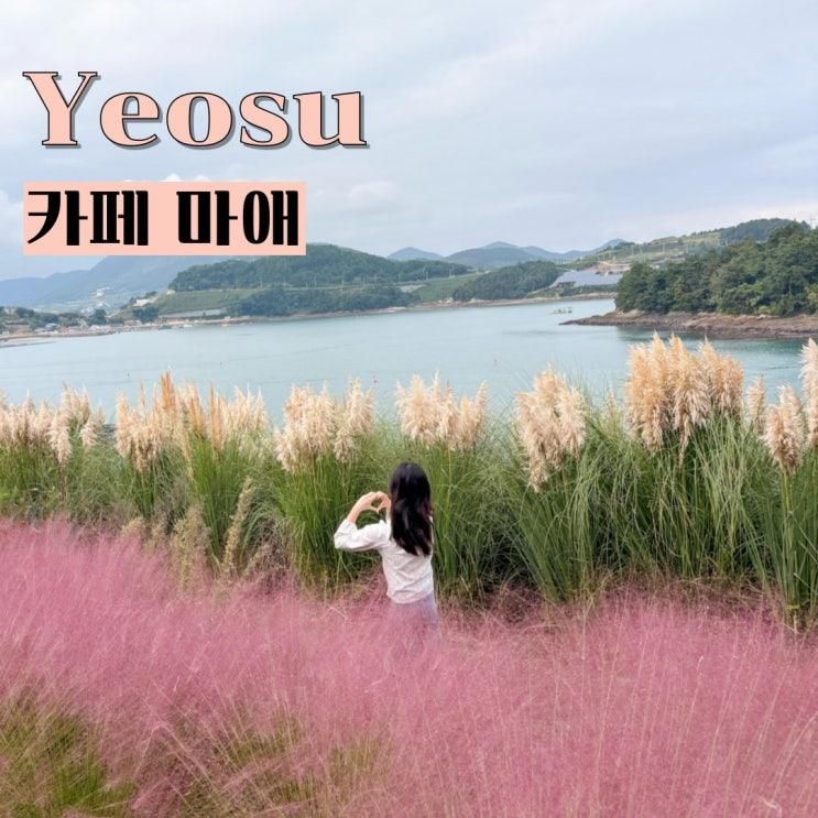 여수 데이트 코스  추천 오션뷰 핑크뮬리로 핫한 애견동반 카페 마애