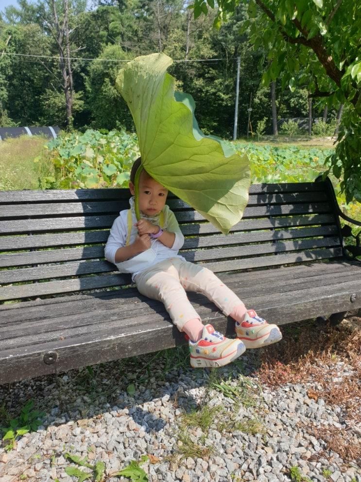 [아이와가면좋은곳_수목원소풍길농원] 자연체험🌲제대로 하고 왔어요